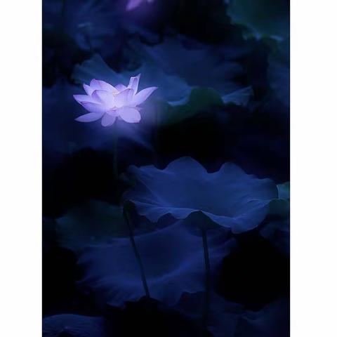 三月的清潭水
