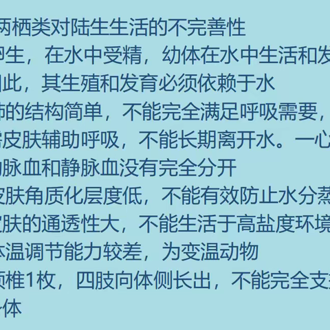 第二小组第九周学习纪实