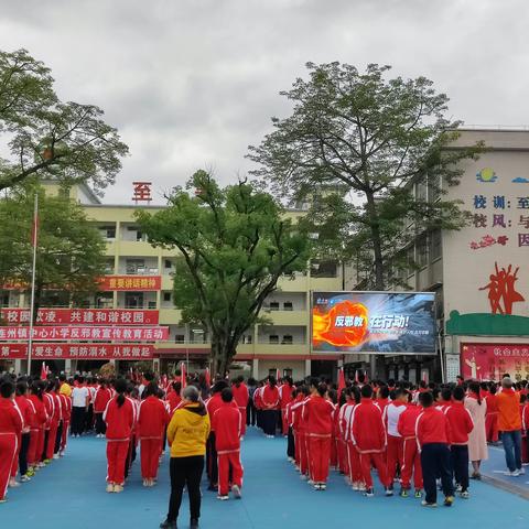 反邪教，在行动！——连州镇中心小学反邪教宣传教育活动