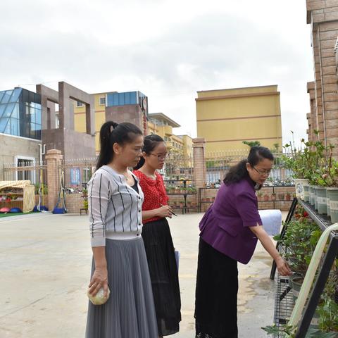 春天一抹绿，“醉”美永顺幼一一北流市永顺幼儿园开展绿植评比活动