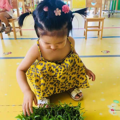 金色摇篮婴中班的快乐时光