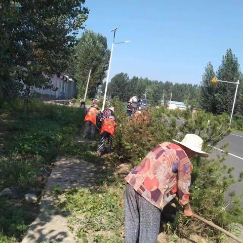 莱芜区牛泉镇开展“除草绿化，美化环境”活动