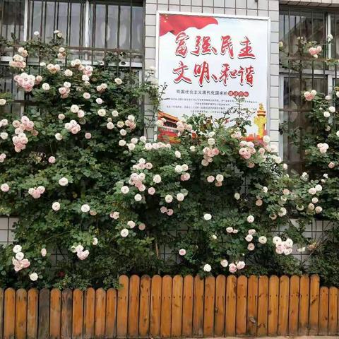 新教育，营造书香校园——唐宫西路小学第二届读书节活动