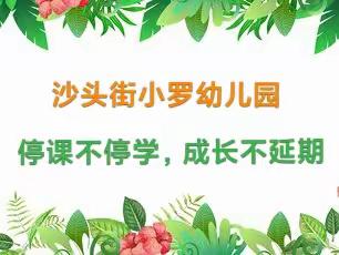 沙头街小罗幼儿园“停学不停课，成长不延迟”大班居家线上活动，精彩回顾💕