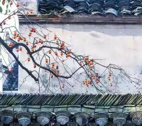涛声依旧对句合集（十五）
