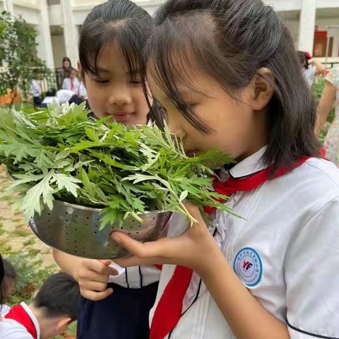 种植快乐，收获喜悦--记2017（7）班2021年春季期种植活动