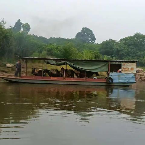 看不见的地方有人在哭泣