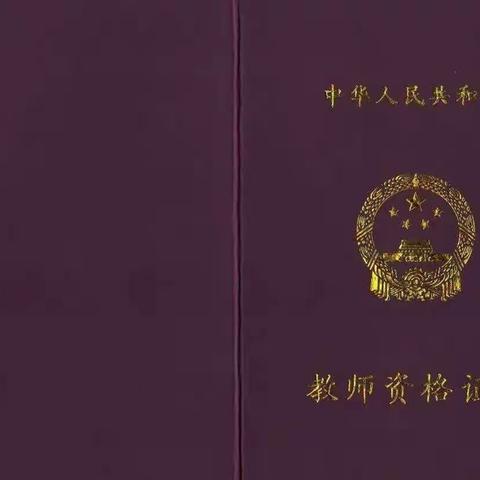 公办教师、民办教师、代课教师、特岗教师、支教教师等教师