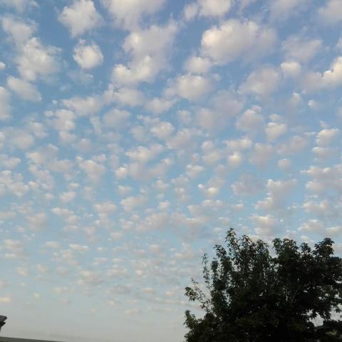 专家引领 健康成长