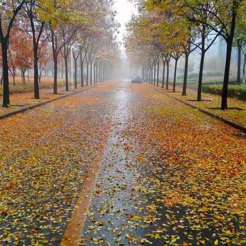 《阳台听雨》