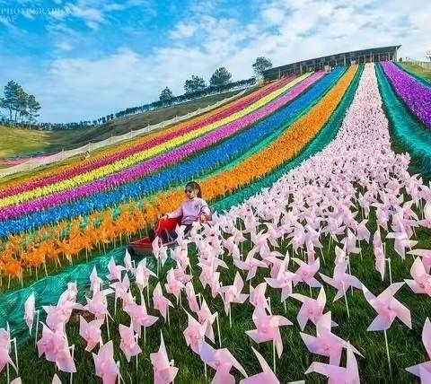 营通天下(一日营)【夏日狂欢】6.7日