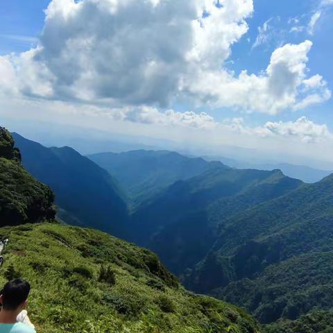 军旅一些狗血剧情——大热倒灶的“上山下山”