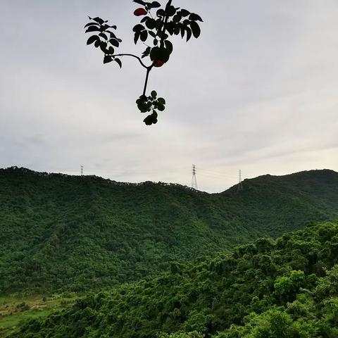 《云边有个小卖部》记略