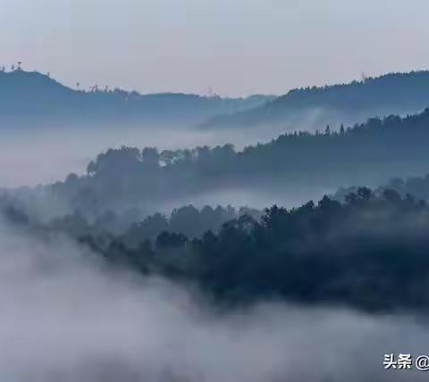 骑龙坳雾景