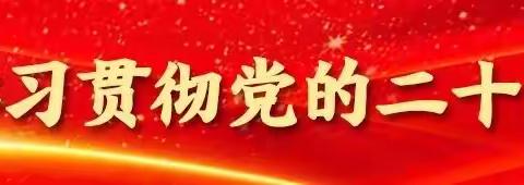 发挥党建引领作用，
强化新担当，展现新作为—————新农九年制学校庆七一系列活动