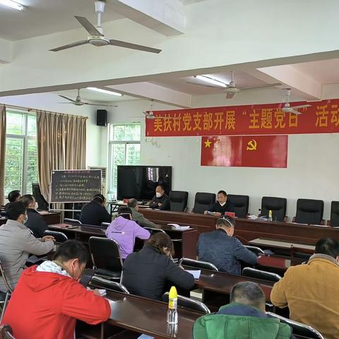 美扶村委会12月份主题党日活动