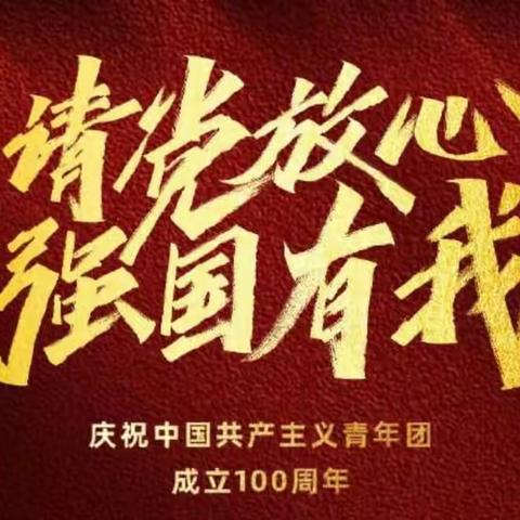 青春向党、不负人民——置业公司收看中国共产主义青年团成立100周年大会