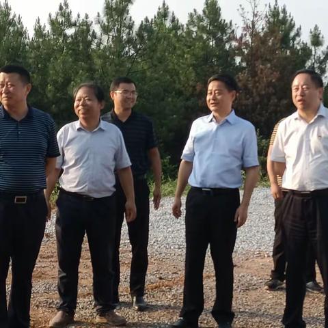 黑凤凰产业扶贫   市委书记严华点赞
