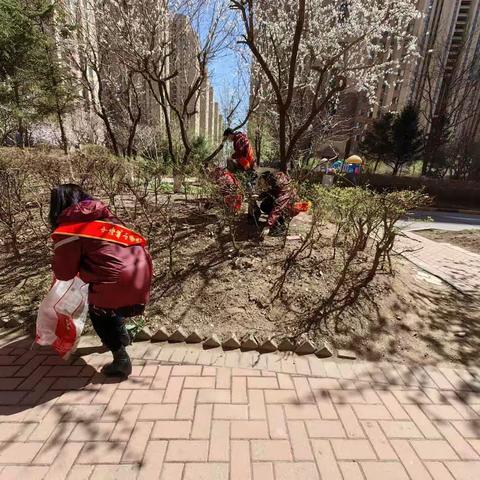 【党员进社区】奉献日当先锋，今日社区格外红——中海城南苑社区共产党员奉献日活动纪实