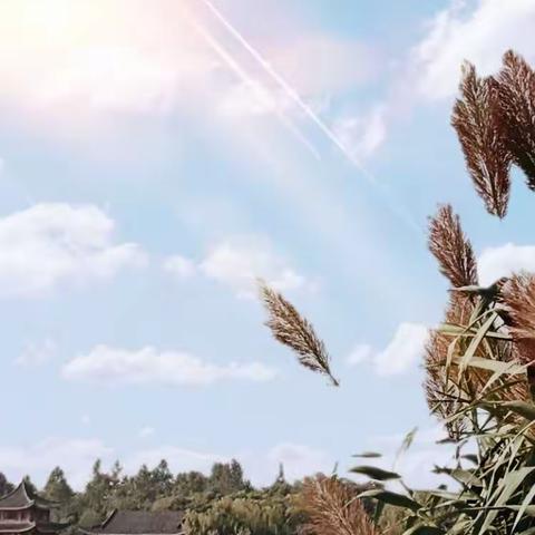 秋（两首）