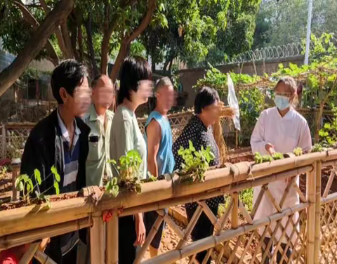 职业康复训练——各类花卉的种植方法