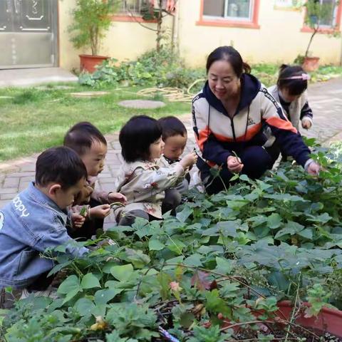 栾川县第一实验幼儿园小托班九月份活动纪实