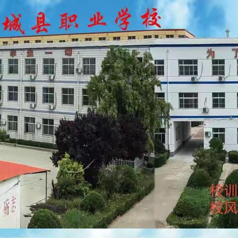 阜城县职业学校教师招聘启事