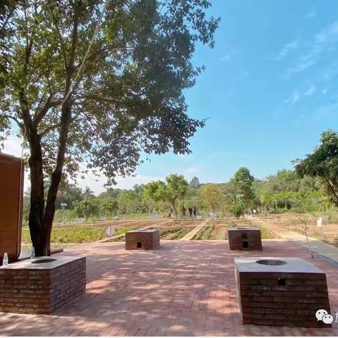 大涌镇旗北小学劳动教育课题组召开研讨会议