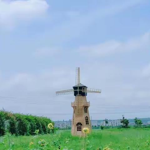 漫游田园风光，共赏诗情画意|“油城墟”实践队走访金塘镇牙象村