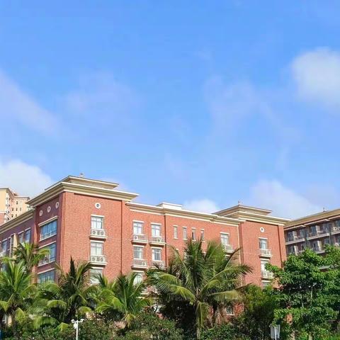 观澜湖华侨中学见习记