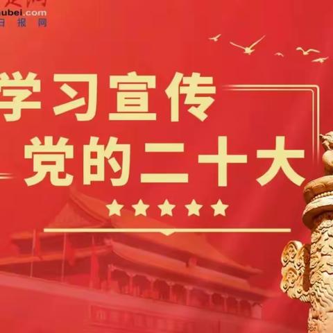 【学习二十大  奋进新征程】大北社区组织开展学习贯彻“党的二十大”精神活动