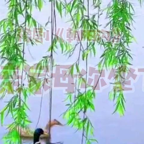 豫剧《朝阳沟》亲家母你坐下咱们说说心里话