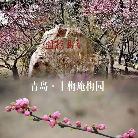 🌸优学乐思教育研学春游报名啦🌸