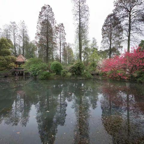 武汉植物园