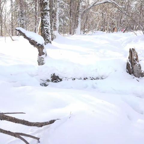 二浪河雪景