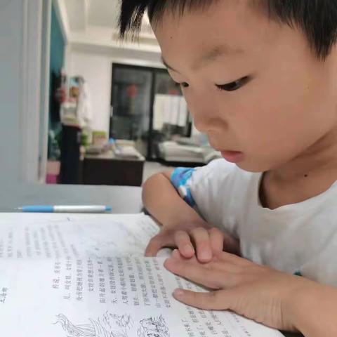 炫彩夏日 缤纷童年——开发区小学富华路校区三年级语文暑假作业展示