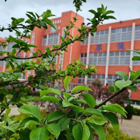 氤氲书香青衿志，履践致远“青蓝”行——黑虎庙镇中心小学新老教师“结对帮扶”活动纪实