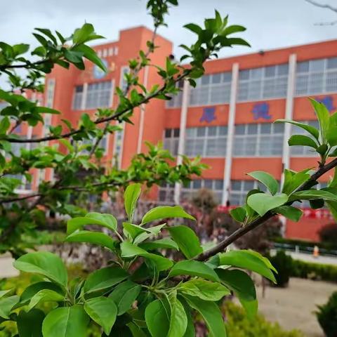 春草青青 研途勤勤——黑虎庙镇中心小学青年教师亮相课