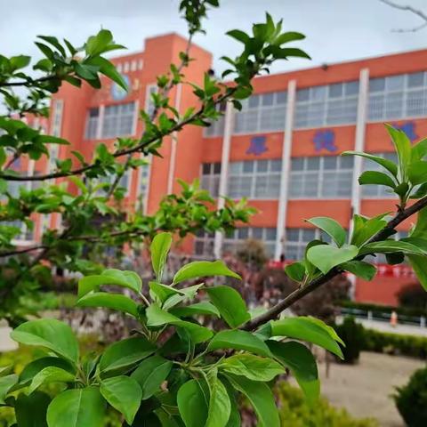 研磨展风采，携手促成长——黑虎庙镇中心小学公开课