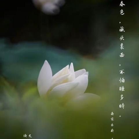 一心长在百花枝