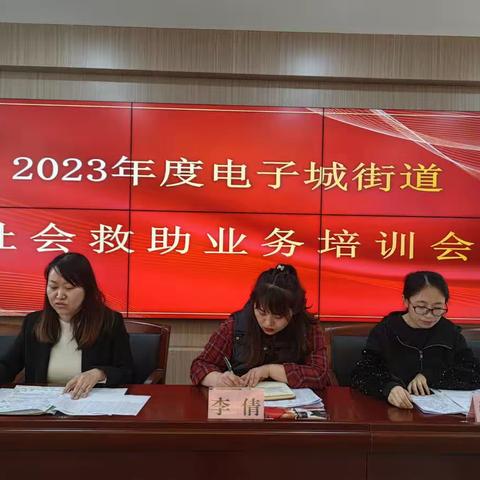 电子城街道召开2023年度社会救助业务培训会