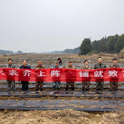 圩上桥镇人大:代表齐上阵，铺就致富路