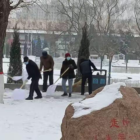 【爱包头 作贡献】扫雪我先行 服务暖人心——花园社区扫雪志愿服务活动