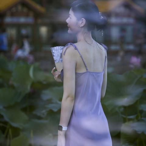 荷塘影集(3)