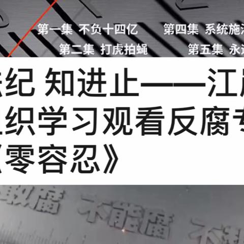 畏法纪 知进止——江岸支行组织学习观看反腐专题片《零容忍》