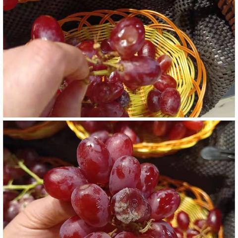 城投店💖 群的美篇