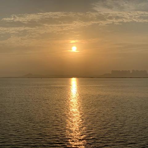 朝霞染天际，日出深圳湾