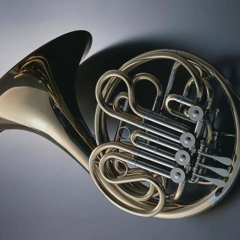 余音袅袅群通知