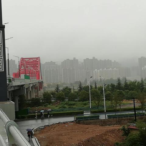细雨漫步新建渭河大桥
