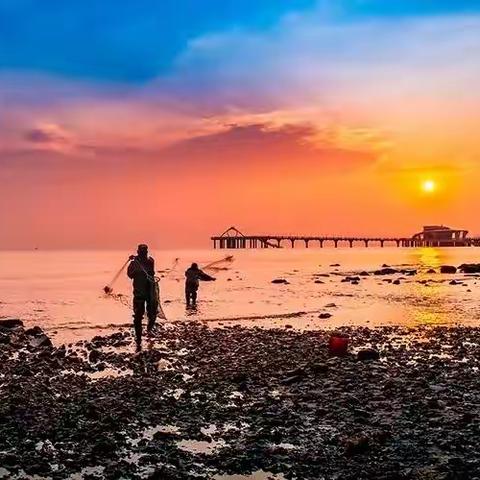 后海沙滩赶海-----光大三亚旅居基地后海的赶海活动